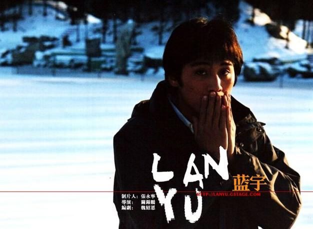 刘德华刘烨主演的电影大全 经典作品不容错过