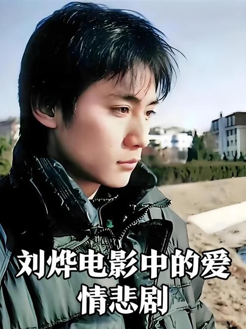 刘德华刘烨主演的电影大全 经典作品不容错过