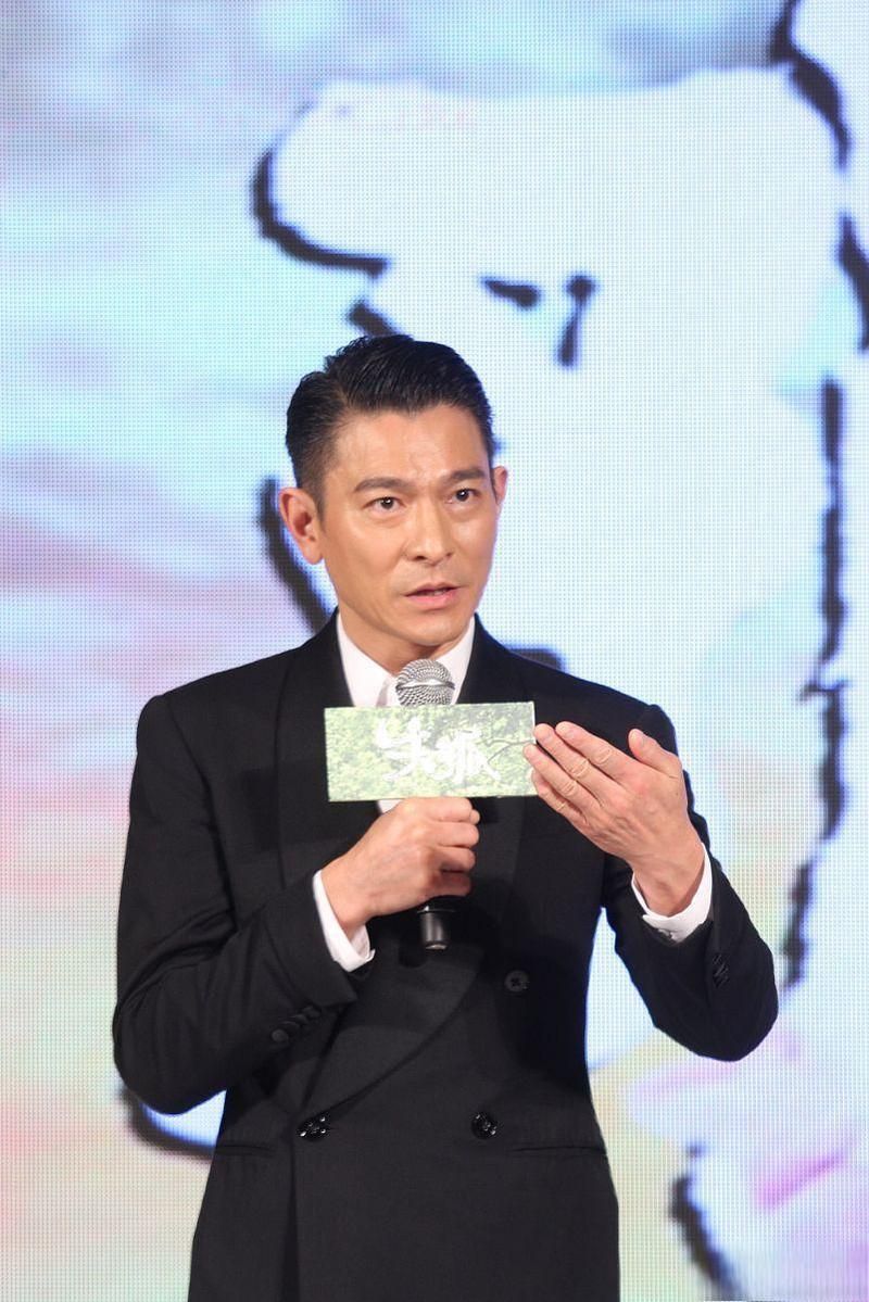 刘德华创办的电影公司有哪些成就？映艺娱乐背后的成功秘诀