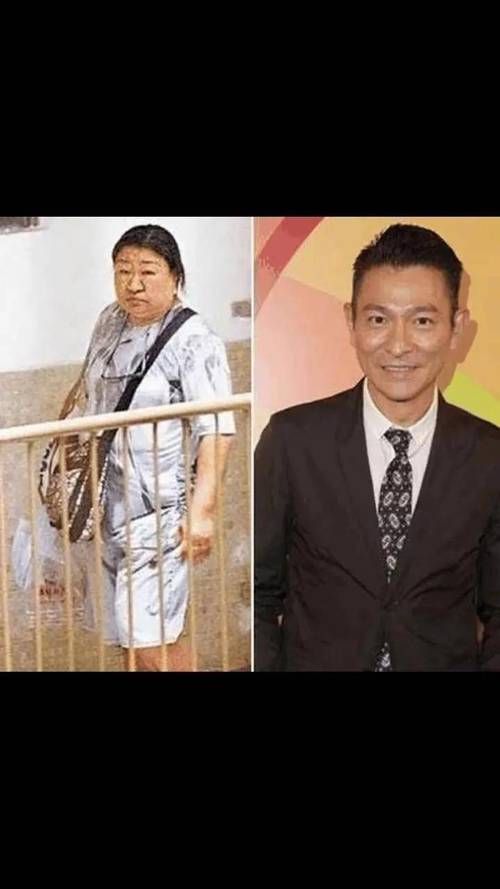 刘德华加多利山豪宅购买经历 天王如何挑选理想住所
