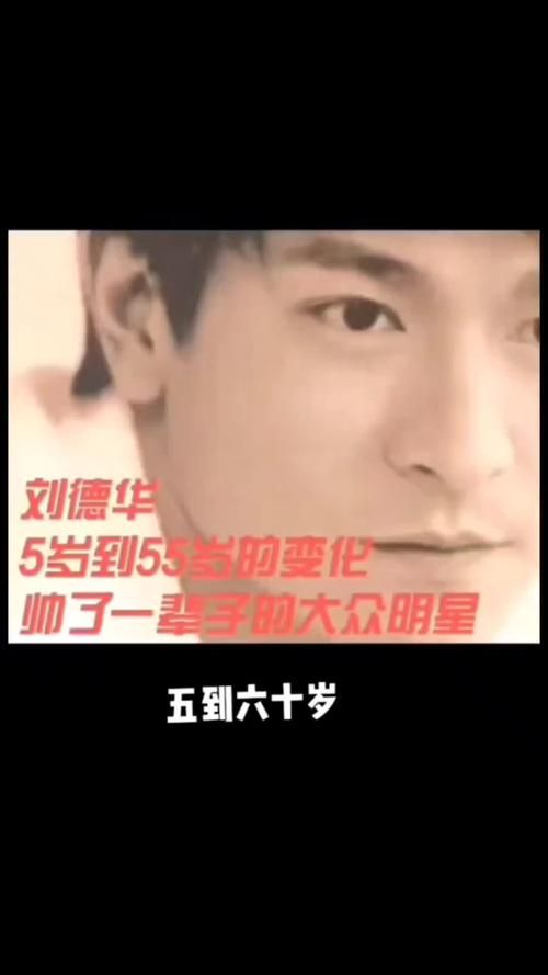 刘德华历年领奖视频：从青涩到成熟的蜕变