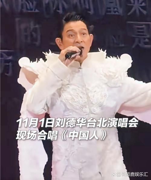 刘德华原唱中国人歌曲背后的故事与意义