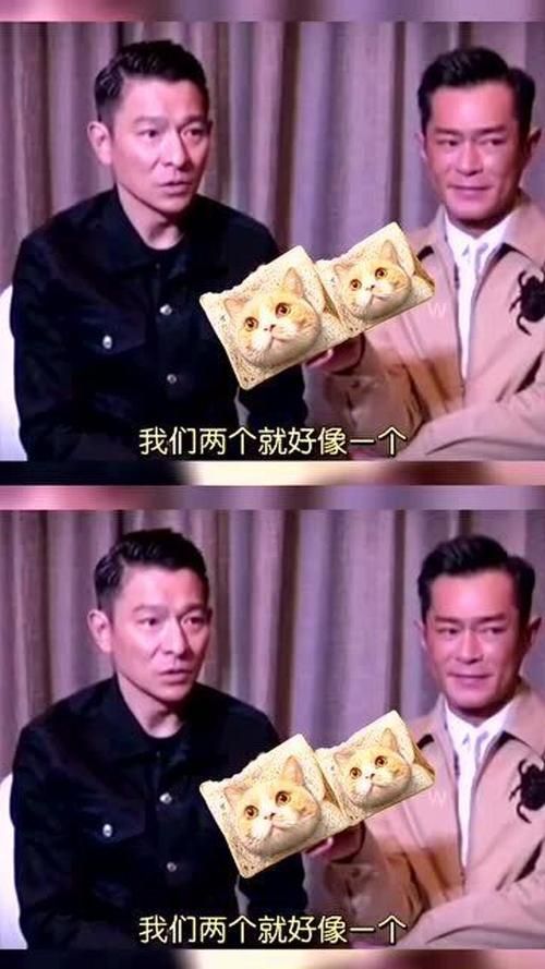 刘德华古天乐：从荧幕到现实的深厚友谊