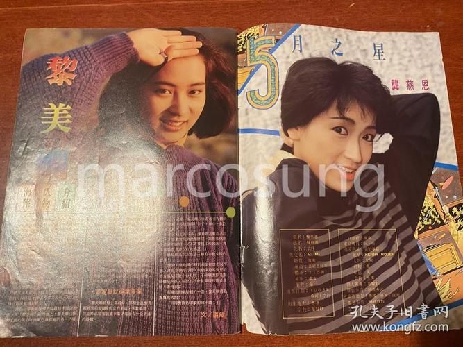 刘德华叶倩文电影有哪些值得一看的佳作