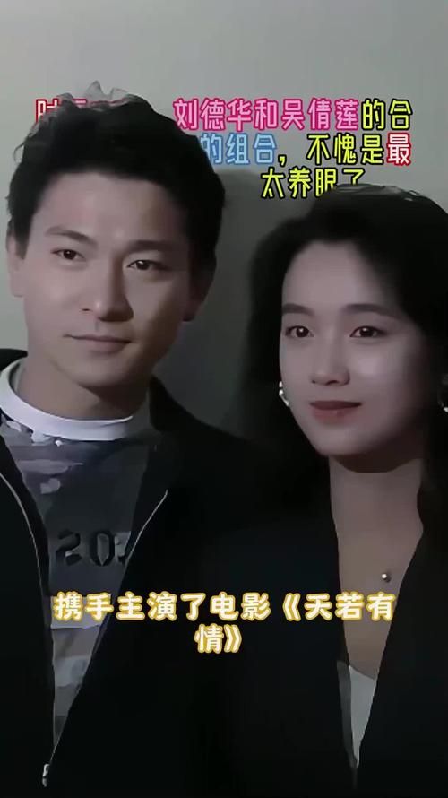 刘德华和吴倩莲演过哪些好看的电影推荐