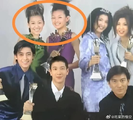 刘德华和小S的那些事：你不知道的幕后故事