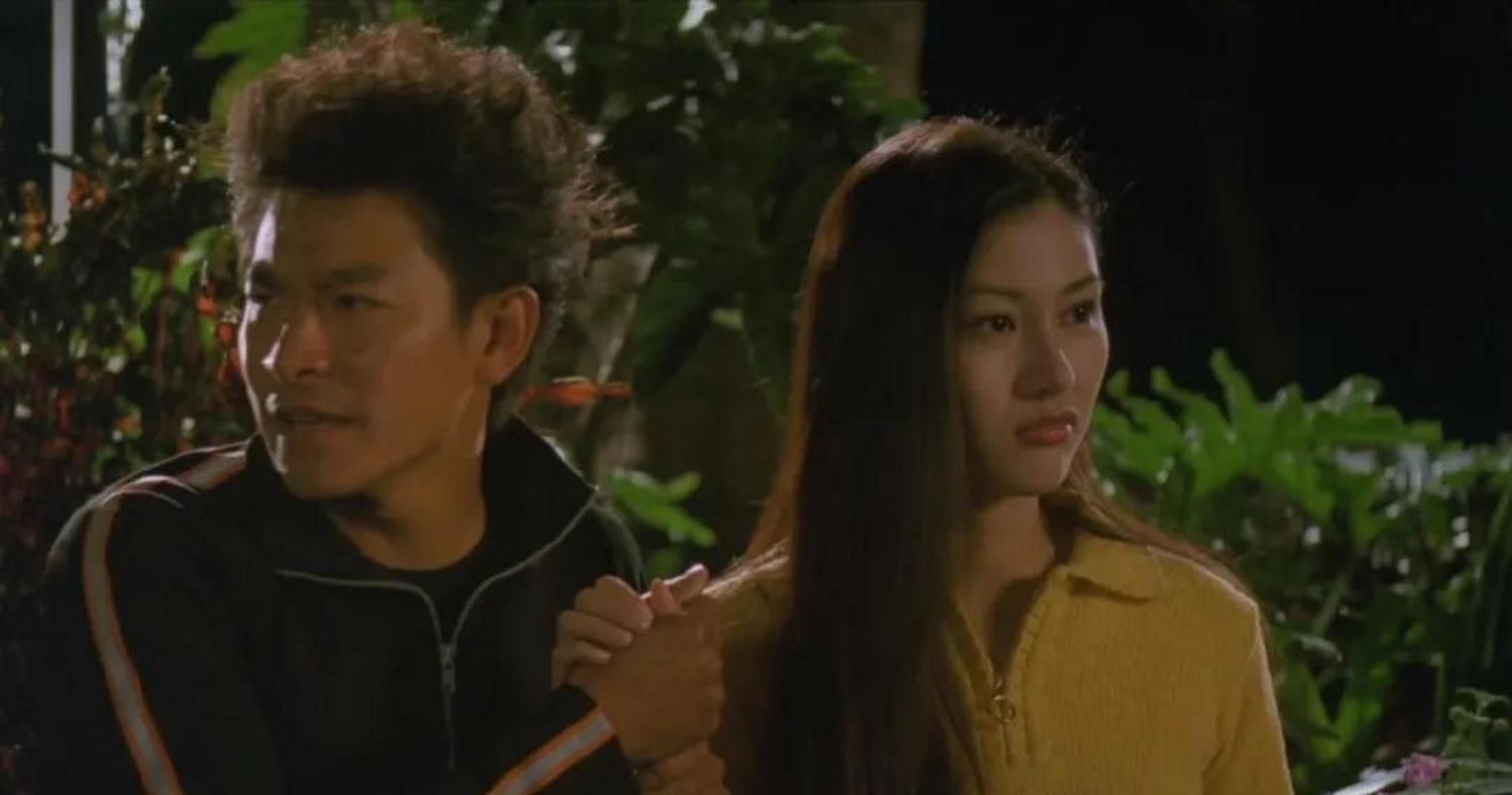 刘德华和李嘉欣演过的电影你最喜欢哪一部