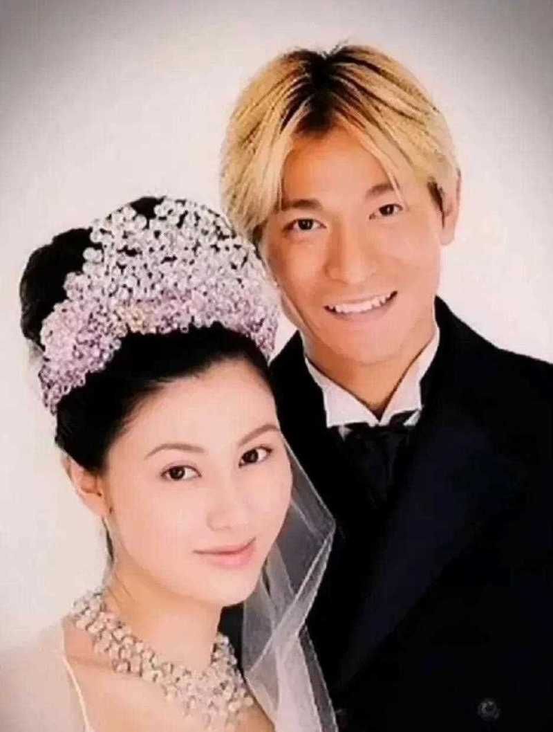 刘德华和李嘉欣演过的电影你最喜欢哪一部