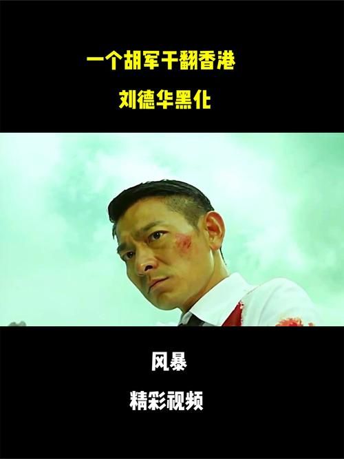 刘德华和胡军演的电影剧情介绍 精彩片段回顾