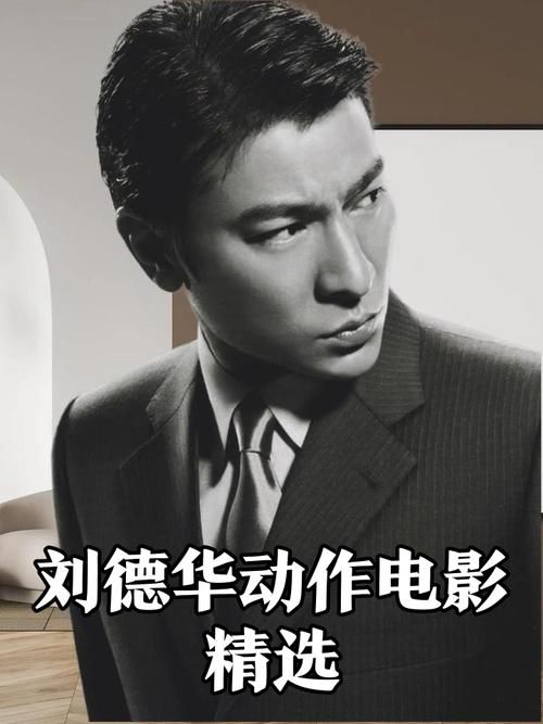 刘德华和胡军演的电影剧情介绍 精彩片段回顾