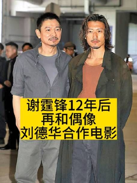 刘德华和谢霆锋演过的电影全名单一览