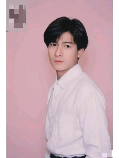刘德华和郭富城谁帅 听听路人怎么评价这两位巨星