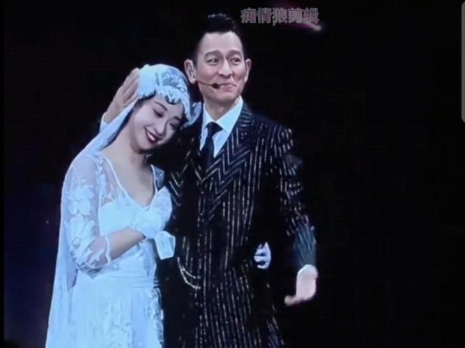 刘德华和陈法蓉：演唱会上的友情瞬间
