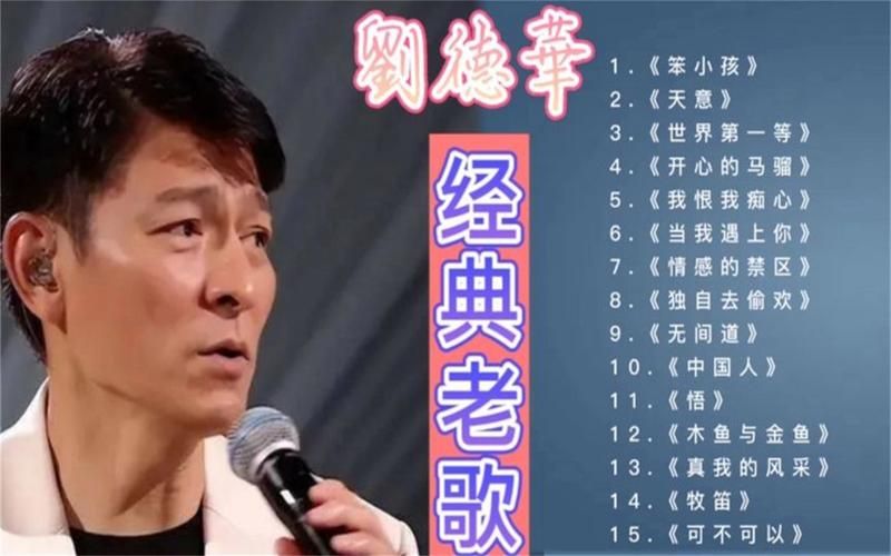 刘德华唱歌视频合集 经典老歌一网打尽