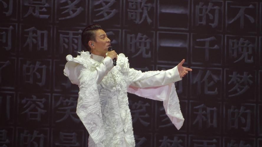刘德华嘉阳之夜现场高清照片大放送