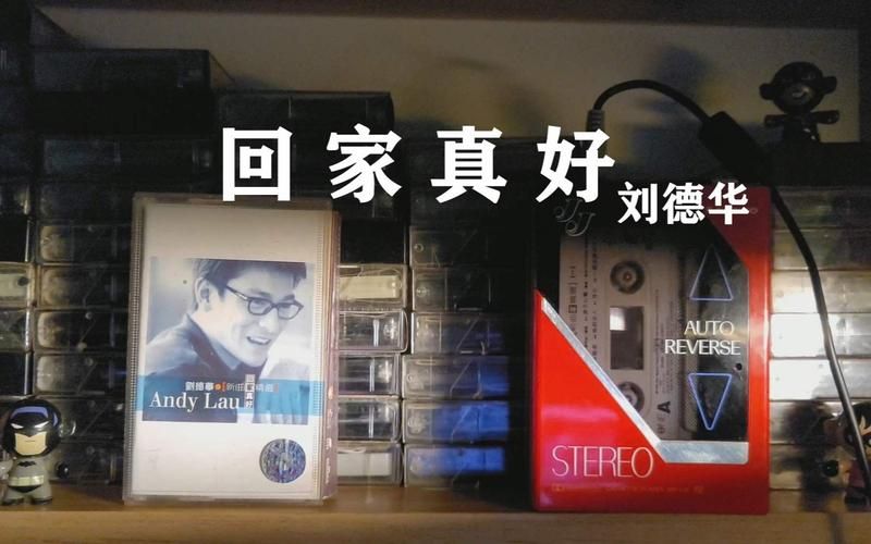 刘德华回家的感觉真好揭秘他心中的家庭观