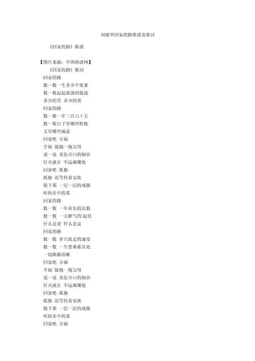 刘德华回家的路歌词含义 揭秘歌曲背后的故事