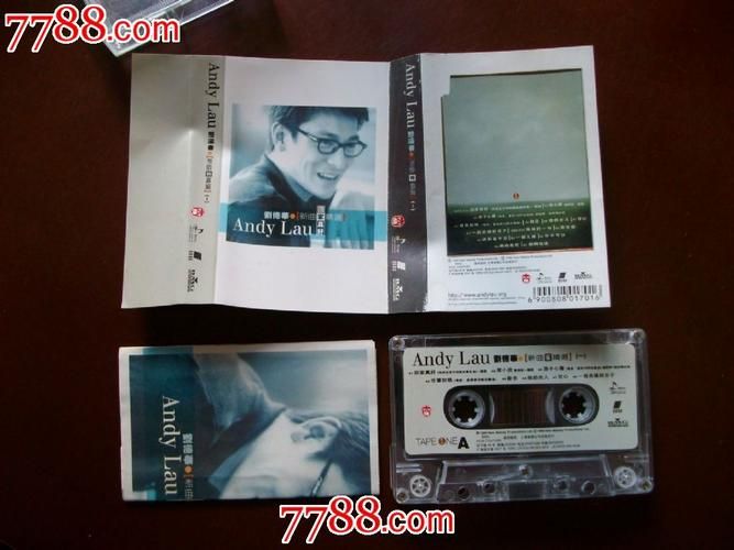 刘德华回家真好歌曲赏析：家的意义与归属感