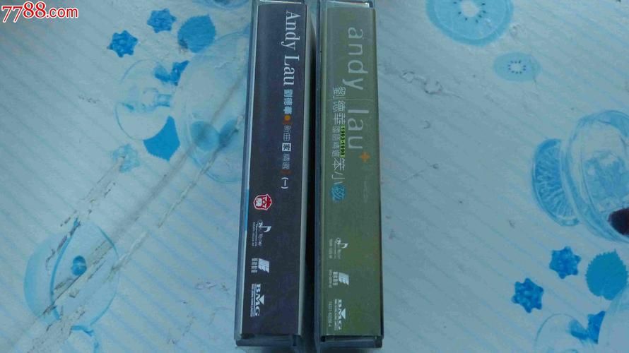 刘德华回家真好歌曲赏析：家的意义与归属感