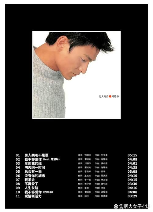 刘德华因为爱专辑歌词赏析 感受天王的深情演绎
