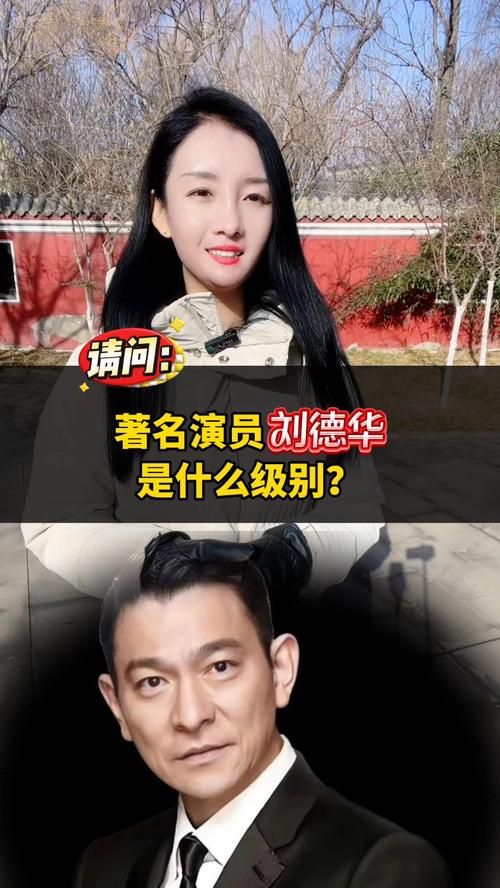刘德华在女明星心中的地位 全部评价大公开