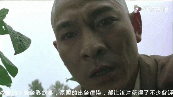 刘德华在泰国拍的电影全盘点你看过几部
