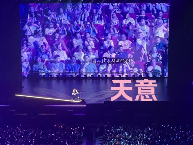 刘德华天意live版完整收录 带你回到演唱会现场