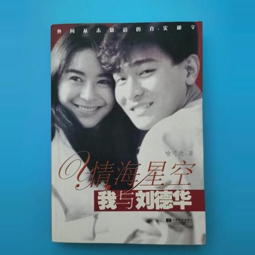 刘德华天若有情粤语歌词解析与赏析