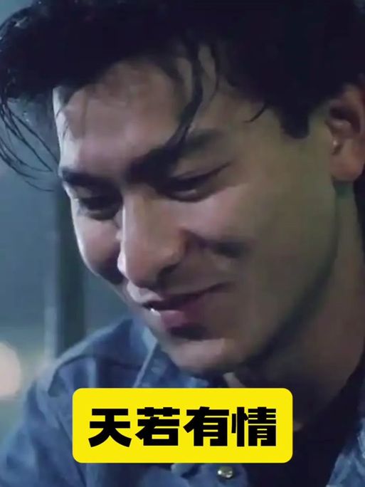 刘德华天若有情粤语歌词解析与赏析