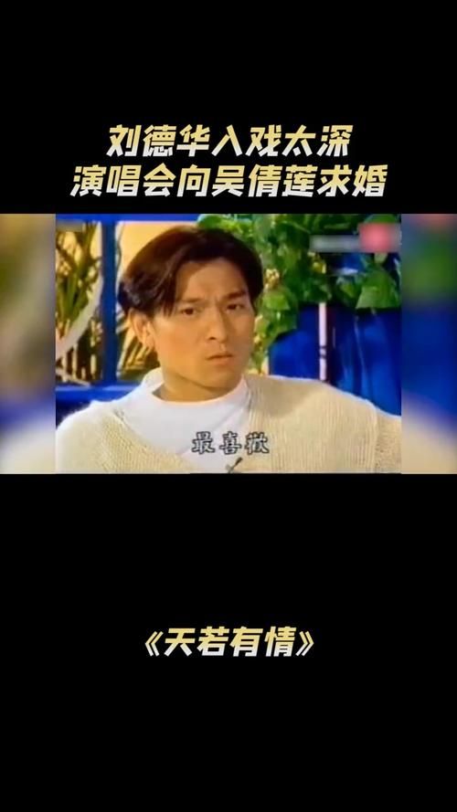 刘德华天若有情粤语歌词解析与赏析