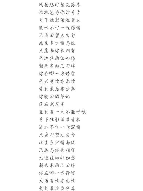刘德华天若有情粤语歌词解析与赏析