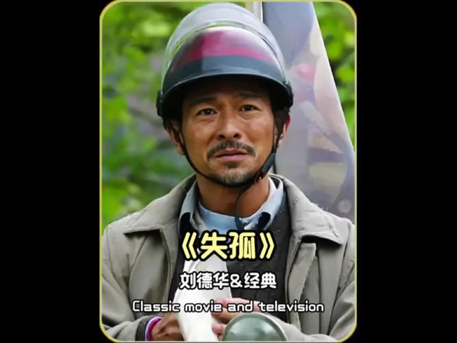 刘德华失孤拿奖了吗 真实故事改编的获奖情况
