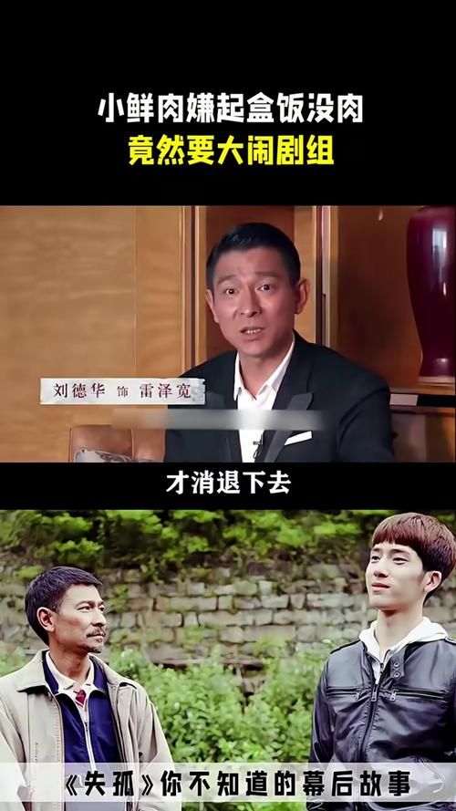 刘德华失孤拿奖了吗 真实故事改编的获奖情况