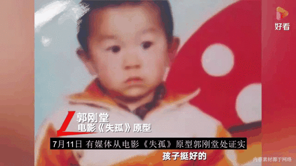 刘德华失孤拿奖了吗 真实故事改编的获奖情况