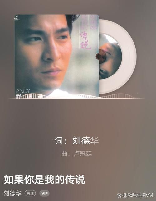 刘德华如果你是我的传说歌词完整版分享