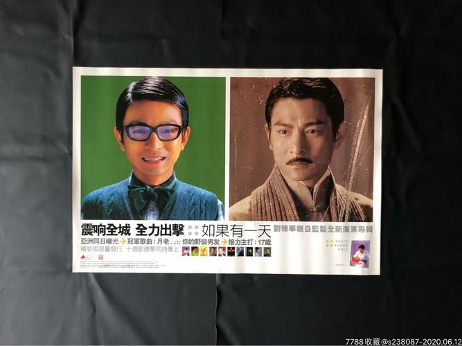 刘德华如果有一天歌词解析与创作背景