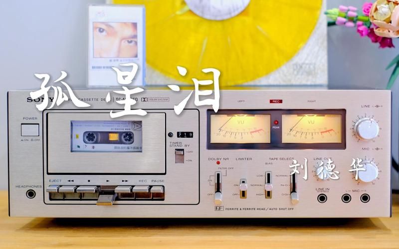 刘德华孤星泪歌曲如何打动无数听众的心