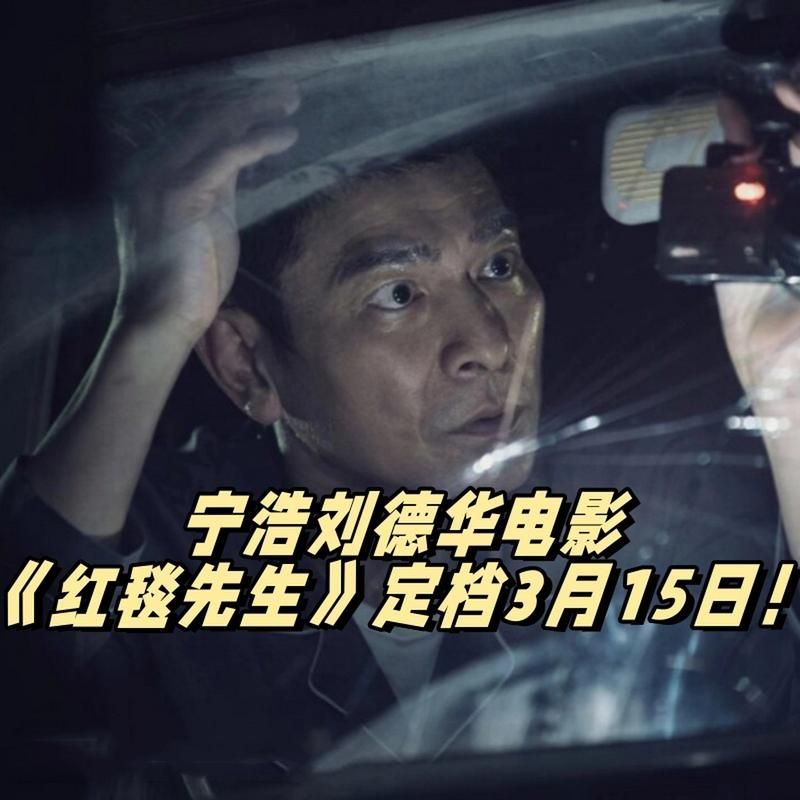 刘德华宁浩携手打造红毯先生，这部电影你期待吗？