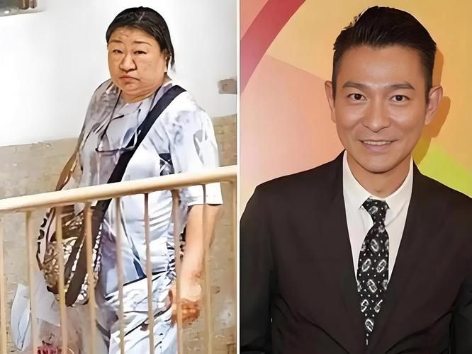 刘德华容易受伤的女人背后故事大揭秘