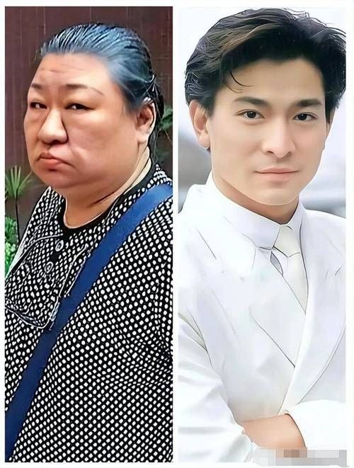 刘德华对赵文卓的评价：娱乐圈的友谊与互相欣赏