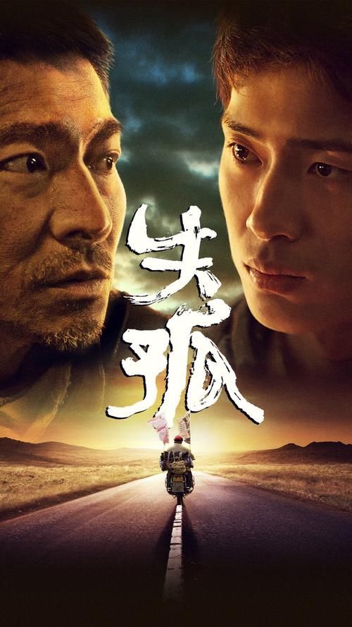 刘德华寻子电影推荐：感人至深，催人泪下！