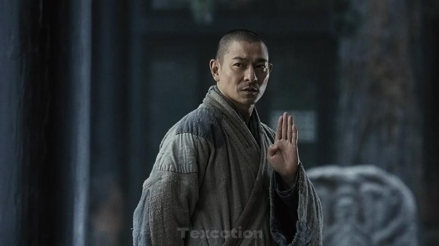 刘德华少林寺电影：经典武打巨星的巅峰之作