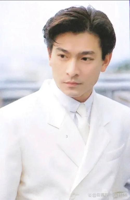 刘德华帅在哪里从五官到气质全面解析