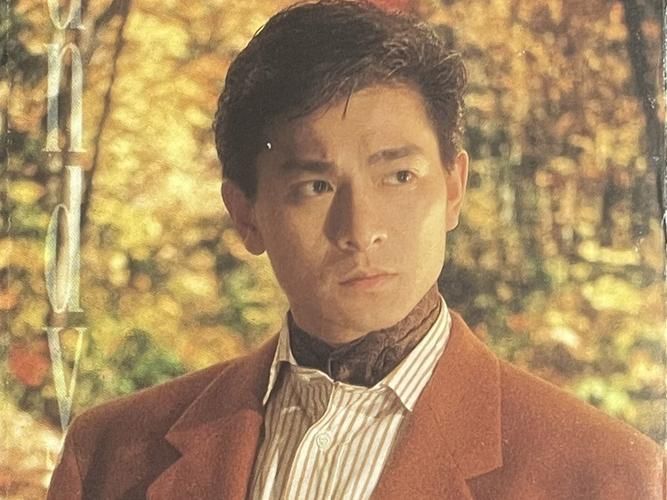刘德华年轻电影回顾：那些年我们一起追过的华仔