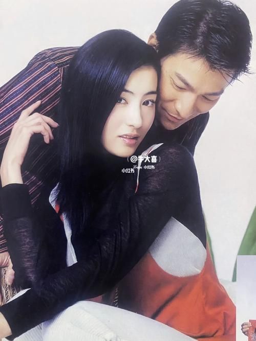 刘德华张柏芝演的电影叫什么 这几部你一定看过
