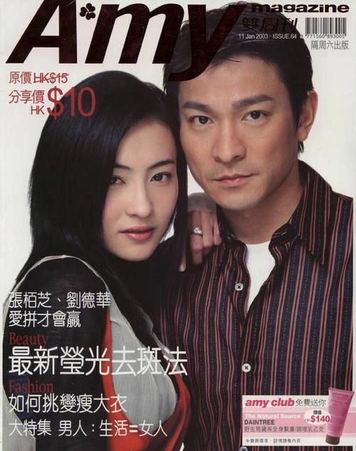刘德华张柏芝演的电影叫什么 这几部你一定看过