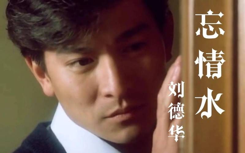 刘德华归宿歌词含义揭秘 每一句都触动人心
