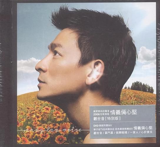 刘德华心肝宝贝歌词含义 听懂这首歌才算真粉丝