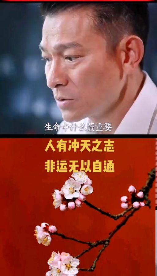 刘德华悟歌词详解：感悟人生哲理与修行