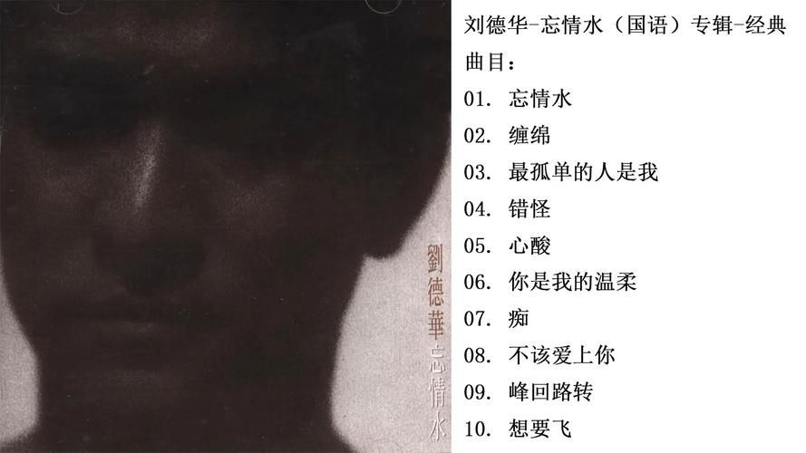 刘德华情未鸟歌词解析 每一句都唱进心坎里的感动